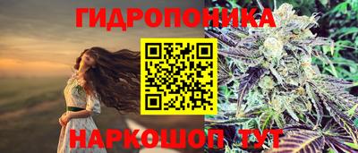 ALPHA PVP Рыбинск