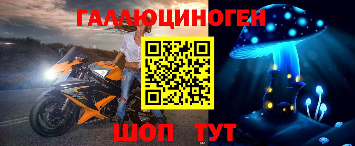 продажа наркотиков  Вход с VPN  Галлюциногенные грибы мицелий  Сальск  Галлюциногенные грибы Psilocybine cubensis 